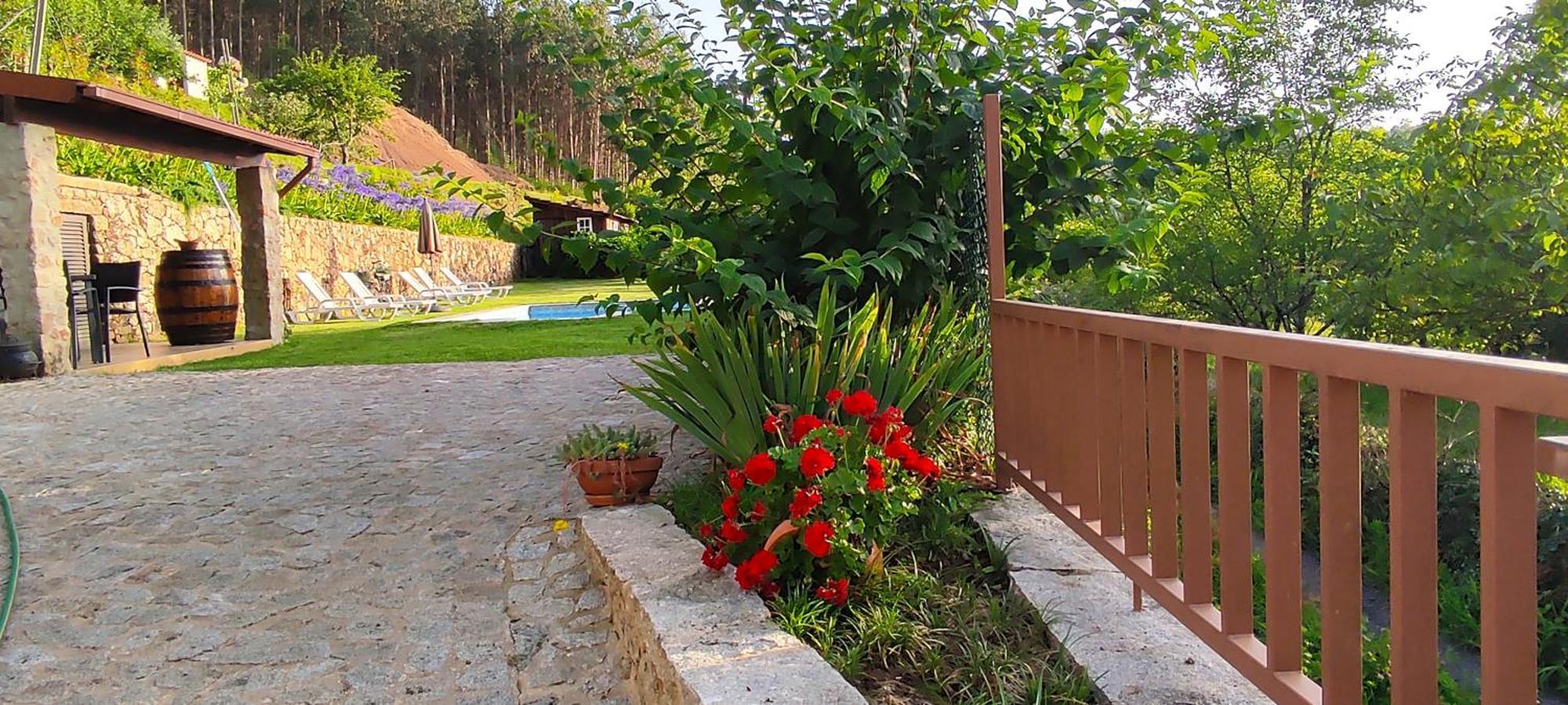 Casa Do Ribeiro Βίλα Sever do Vouga Εξωτερικό φωτογραφία
